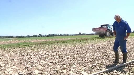 Les agriculteurs sont de plus en plus victimes de vols.