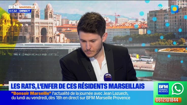 Bonjour Marseille du lundi 26 janvier 2026