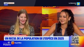 Le journal de 18h du vendredi 10 octobre 2025