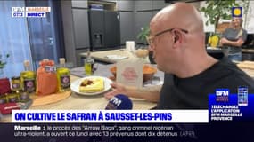 Sausset-les-Pins: un couple se lance dans la culture de safran