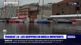 Transat Jacques Vabre: les skippers en Imoca impatients