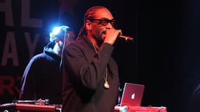 L'incident s'est produit lors d'un concert des rappeurs Snoop Dogg et Wiz Khalifa. 