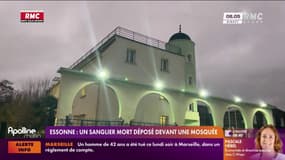 Essonne : un sanglier mort déposé devant une mosquée