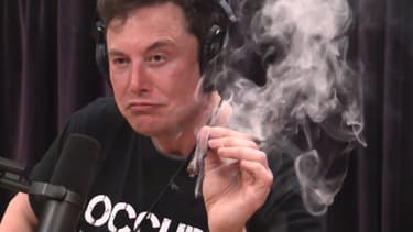 Elon Musk lors de l'interview avec Joe Regan publiée le 6 septembre.