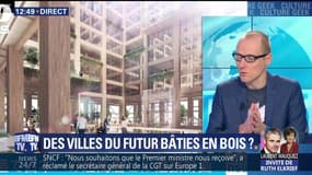 Des villes du futur bâties en bois ?