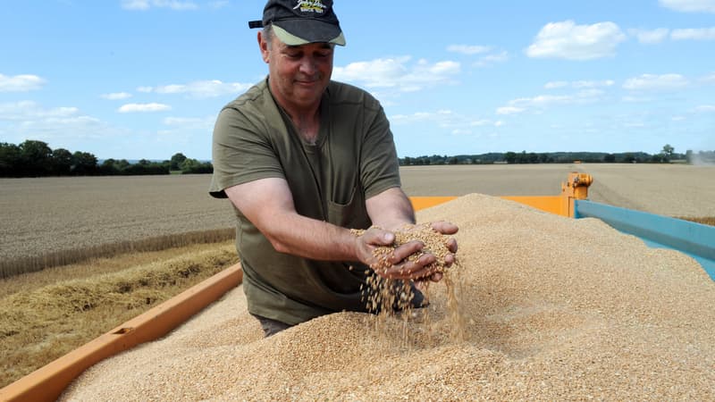 Les agriculteurs arrivent en seconde position du classement des Français les plus heureux au travail.