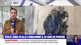 "Violeur de la Sambre": Dino Scala condamné à 20 ans de prison, la peine maximale 