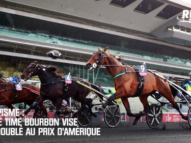 Hippisme : Face Time Bourbon vise le doublé au Prix d’Amérique