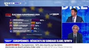Européennes : résultats du sondage Elabe/BFMTV - 25/05