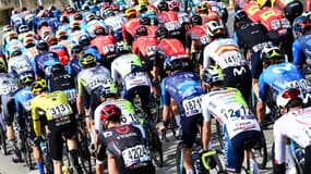 Le peloton lors du Tour des Flandres le 31 mars 2024