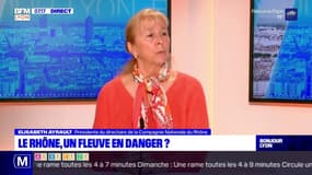 Elisabeth Ayrault, présidente du directoire de la CNR, alerte sur l'état du Rhône, "le changement climatique impacte le fleuve tous les jours"