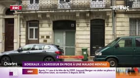 Bordeaux: l'agresseur en proie à une maladie mentale 