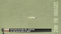 Un beluga aperçu dans la Tamise