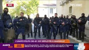 L'unité d'élite CRS-81 est déployée à Marseille