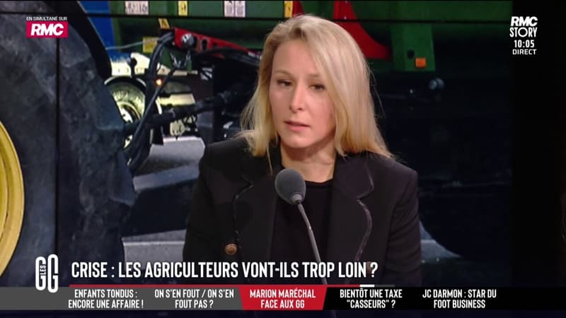 Mercosur: Marion Maréchal appelle à une "politique du porte-monnaie vide" contre l'Europe