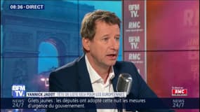 Gilets jaunes: Jadot accuse le Rassemblement national, les Républicains et la France insoumise "d'attiser les braises"