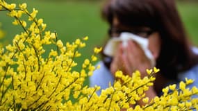 Allergies aux pollens (PHOTO D'ILLUSTRATION).