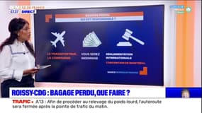  Aéroport de Roissy: que faire lorsque votre bagage est perdu ?