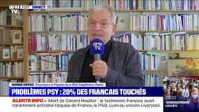 Ces indicateurs alarmants qui témoignent "d'une vague psychiatrique" selon Serge Hefez