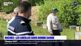 Vols de ruches: une campagne de prévention dans les Alpes-de-Haute-Provence