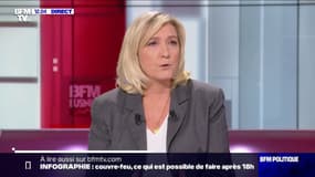 Vaccination anti-Covid: Marine Le Pen déplore "un problème majeur de logistique"