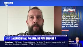 Les arbres ont-ils de plus en plus de pollen ? BFMTV répond à vos questions