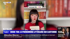 "BookTok", le phénomène littéraire qui cartonne sur TikTok