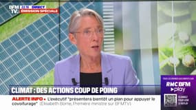 Sainte-Soline: Élisabeth Borne "condamne les violences" mais "n'emploie pas le terme" d'éco-terrorisme