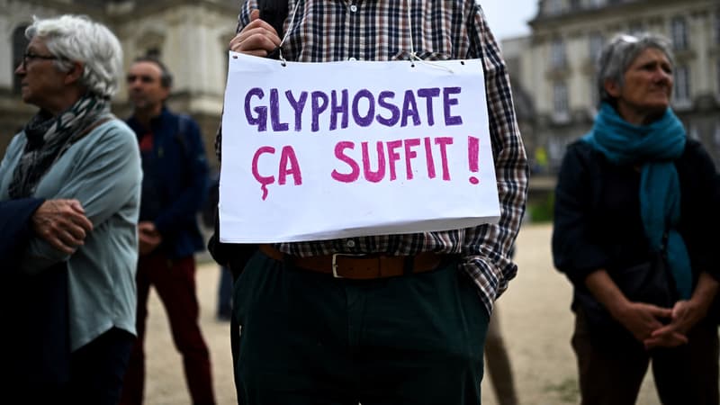 Glyphosate: des ONG vont saisir la justice de l'Union européenne contre la reconduction de l'autorisation