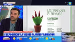 Côte d'Azur Découvertes du jeudi 31 octobre - L'exposition "La vie des plantes" à Menton
