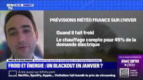 Nicolas Goldberg: "S'il fait froid en janvier, on pourrait avoir des alertes éco-watt" pour éviter des coupures d'électricité