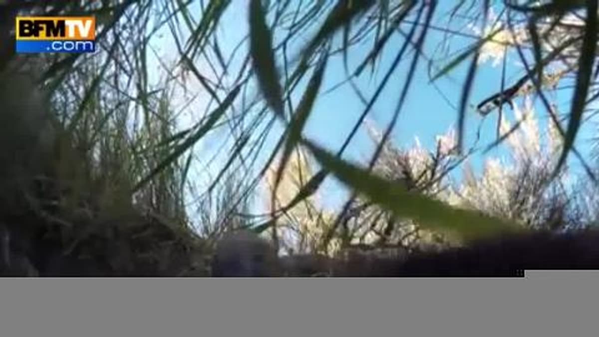 placeholder video