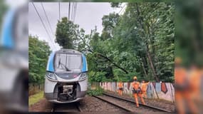 La circulation de la ligne N est perturbée ce mardi 25 juillet en raison de la présence d'un arbre sur les voies.