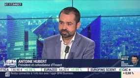 Ynsect veut faire des insectes une ressource pour l'alimentation des animaux et des plantes, Antoine Hubert – 20/09
