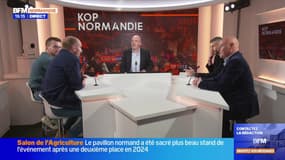 Kop Normandie du lundi 3 mars: le HAC s'impose face à Lens
