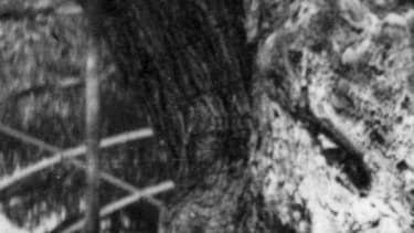 Marcel et Jacqueline Pagnol en 1947