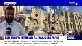 Coupe du monde de rugby: cérémonie officielle d'accueil pour l'équipe de rugby d'Uruguay à Avignon