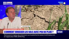 Sécheresse en Alsace: le conseiller irrigation à la chambre d'Agriculture "inquiet" pour la saison à venir