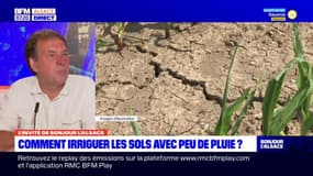 Sécheresse en Alsace: le conseiller irrigation à la chambre d'Agriculture "inquiet" pour la saison à venir