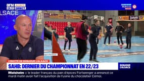 Sélestat Alsace Handball: le club redescend en D2