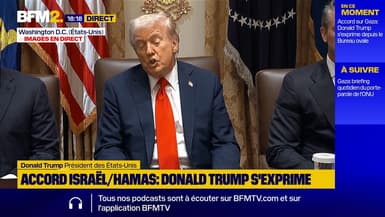 Accord sur Gaza: Donald Trump déclare qu'il "essaiera" de se rendre en Egypte