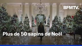 États-Unis: la Maison Blanche dévoile ses décorations de Noël 