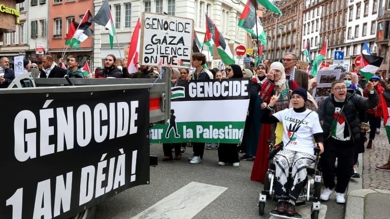 Manifestation pro-palestinienne à Strasbourg, le 5 octobre 2024 (image d'illustration)