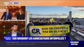 Infiltration du marché de Rungis: que risquent les agriculteurs interpellés? 