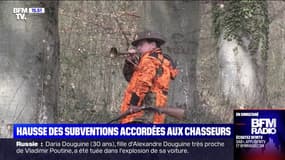 La hausse des subventions pour les chasseurs crée la polémique