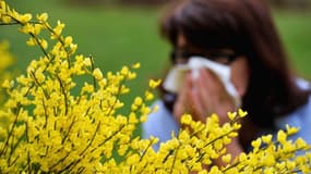 La saison des allergies aux pollens est de retour.