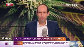 C'est votre avis : Faut-il légaliser l'usage du cannabis en France ? - 17/08
