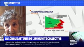 Aides à domicile non-vaccinées: "C'est dangereux, c'est criminel de leur part", explique l'épidémiologiste Catherine Hill