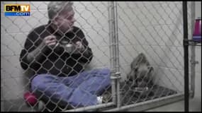 Un vétérinaire entre dans la cage d’une chienne traumatisée pour manger à ses côtés   