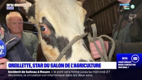 Oreillette, la star du salon de l'agriculture 2024